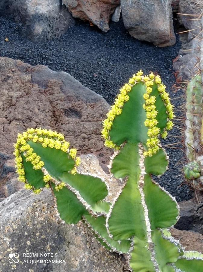 プラヤ・ブランカ Splendid Casa Papagayo, Heated Pool, Roofterrace With Views And Wifiヴィラ エクステリア 写真