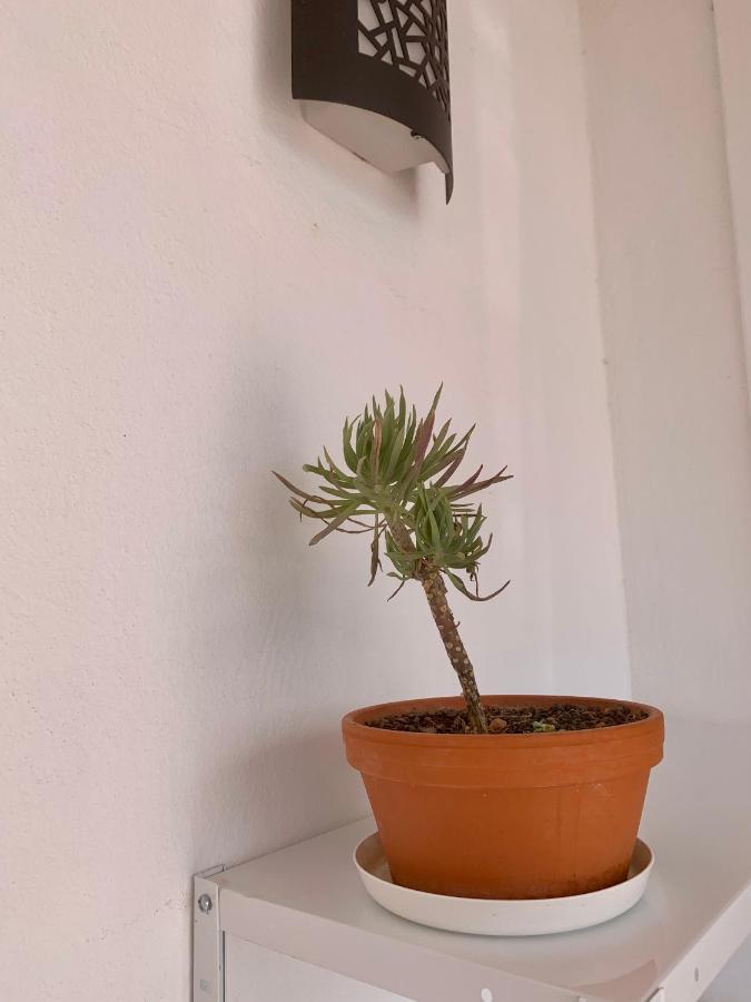 プラヤ・ブランカ Splendid Casa Papagayo, Heated Pool, Roofterrace With Views And Wifiヴィラ エクステリア 写真